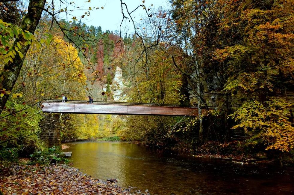 Senderismo de otoño en el Wutachschlucht: rojo, amarillo, naranja... ¡y tú en medio!