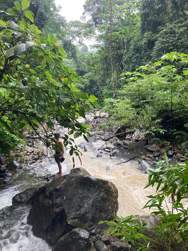 Cascate