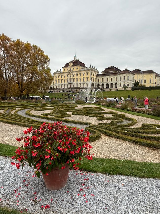 📍 Esposizione di zucche, Ludwigsburg/ 📍 Pumpkin exhibition, Ludwigsburg
