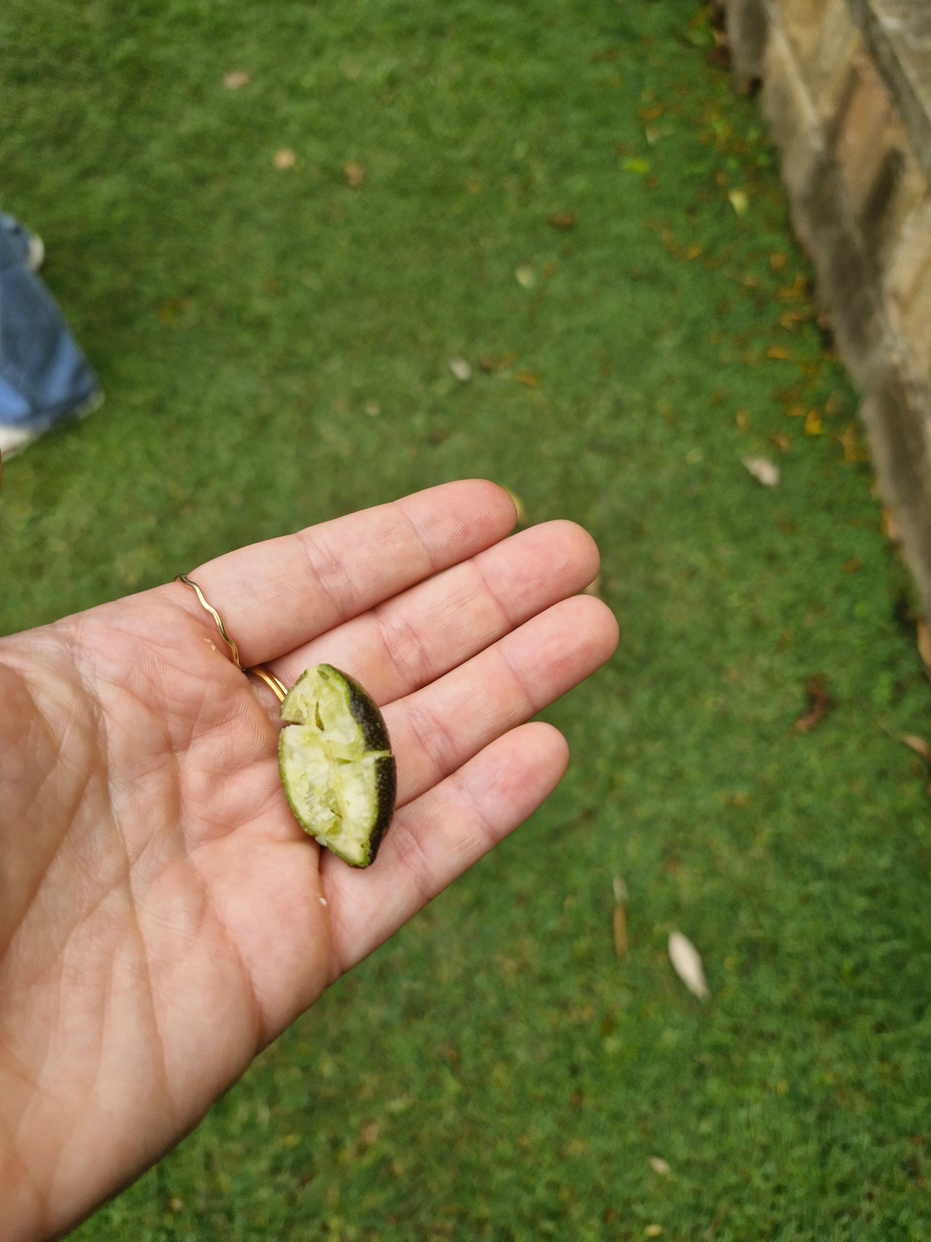 Native Lemon