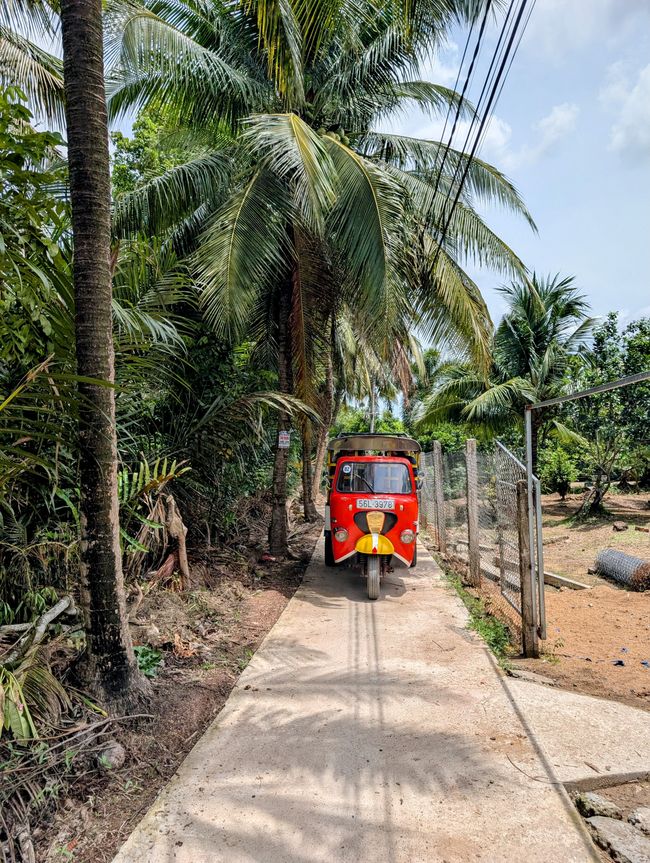 Mekong-Delta-Fragmente