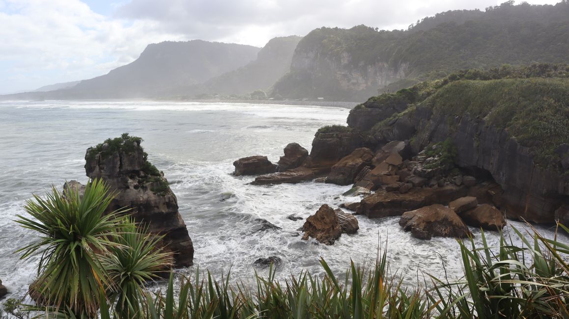 Punakaiki的西海岸 - 特鲁曼步道