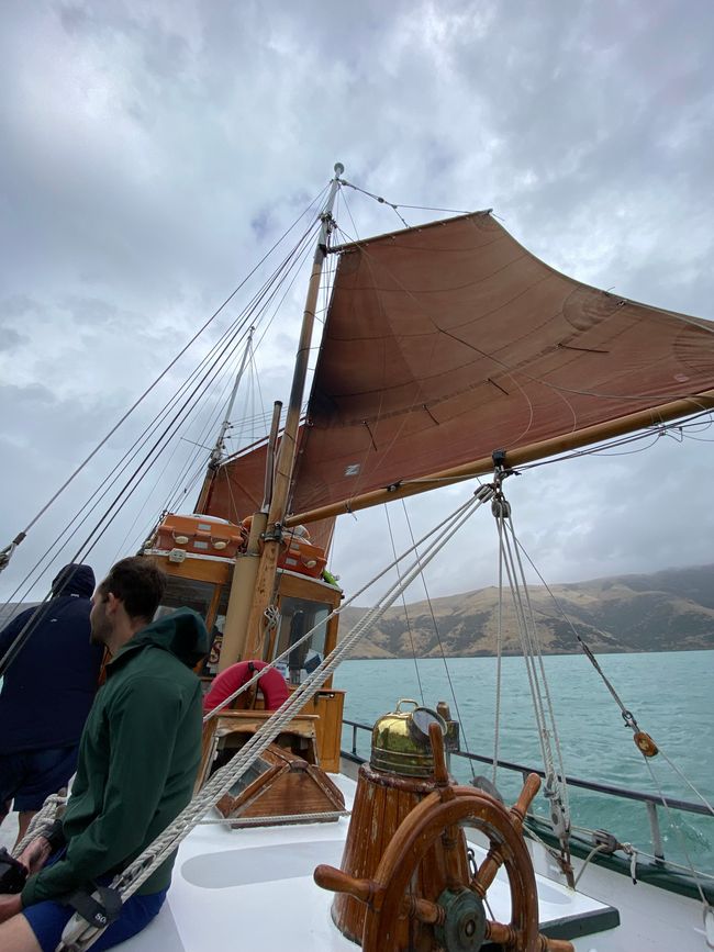 Sailing trip on the Fox II