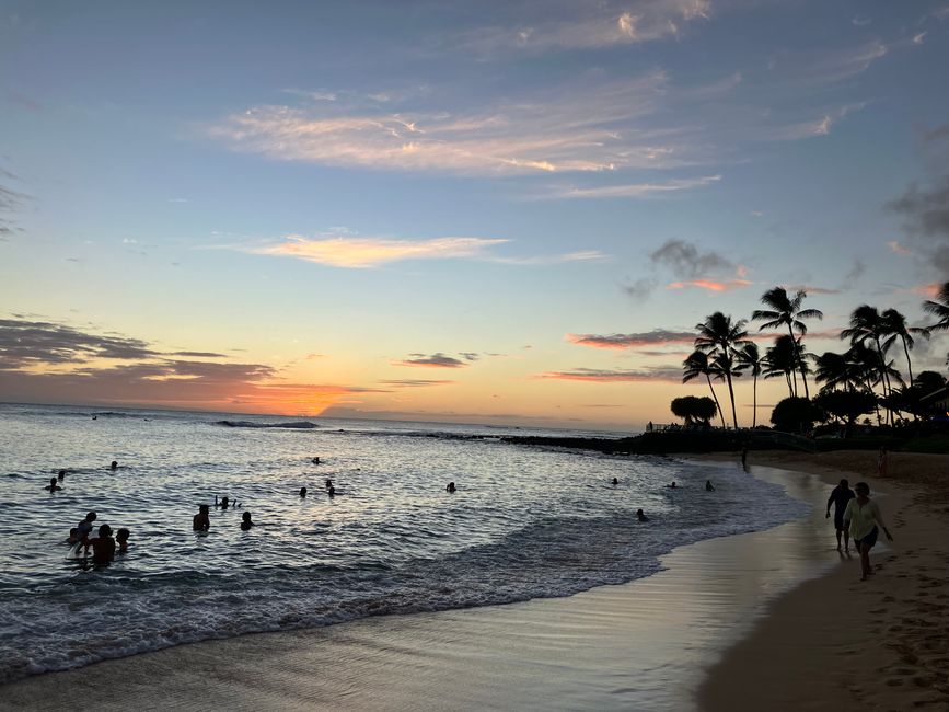 D18 - Yoga a las 7 am con Norbi y playa Poipu con focas monje, tortugas marinas y Humuhumunukunukuapua‘a