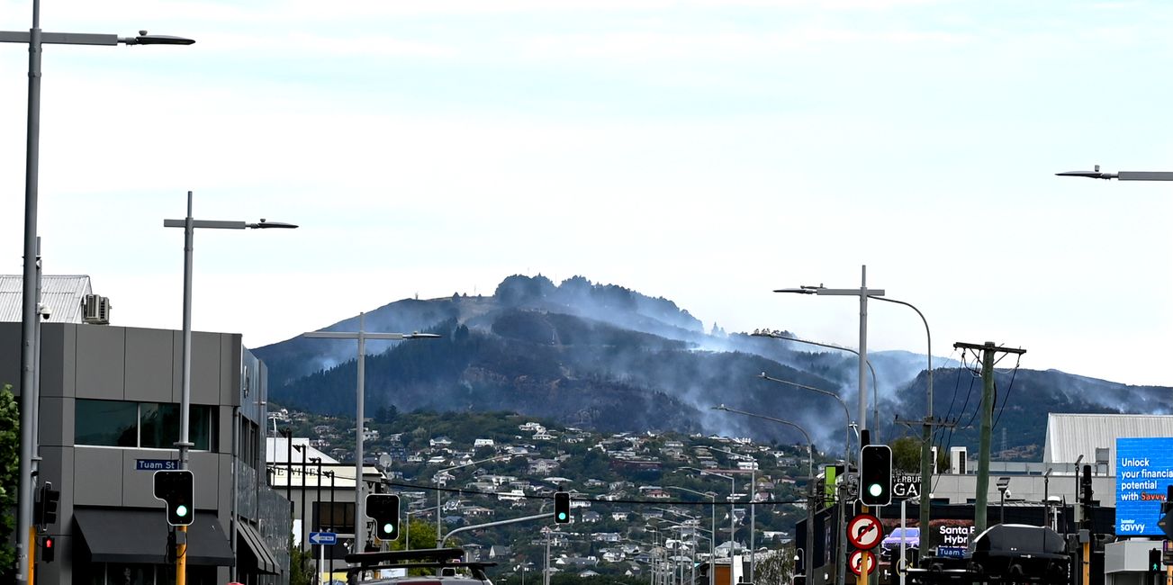 Forest fire near Christchurch