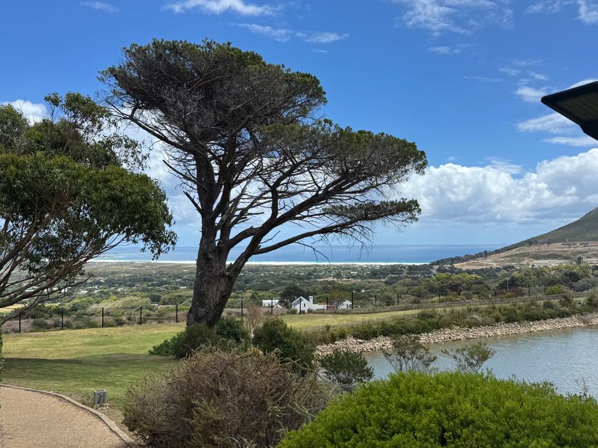 Afrique du Sud🇿🇦 Semaine 1