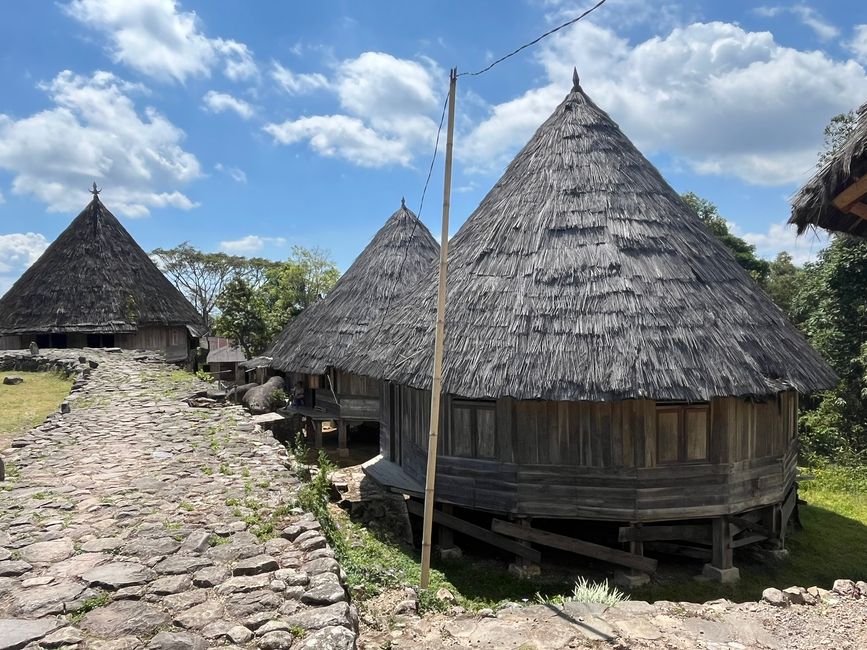 Traditionelle Häuser in Ruteng Pu'u
