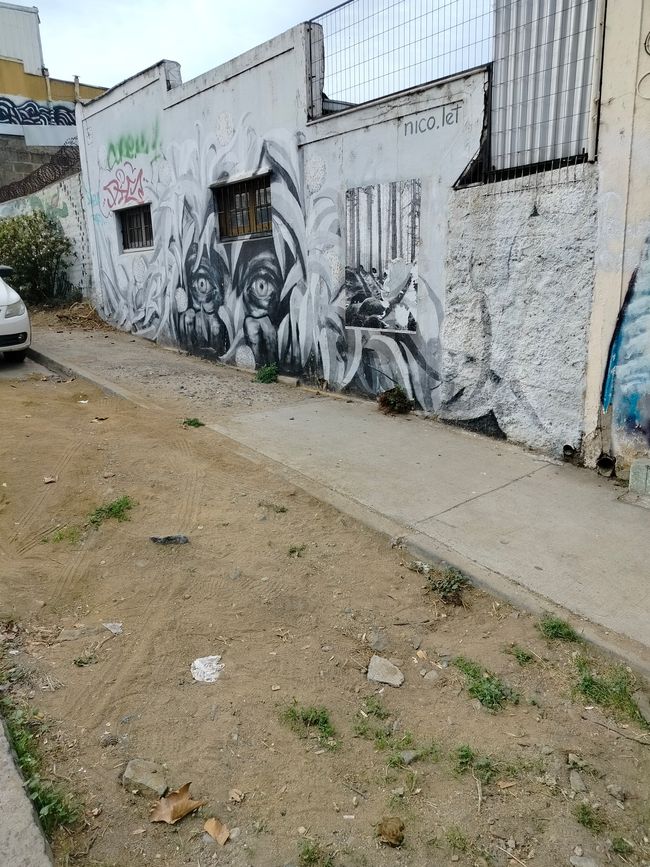 Valparaiso & Back in Santiago