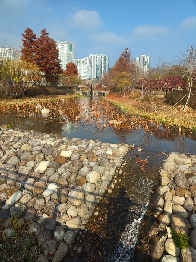 Hello, Korea — Hello, Japan