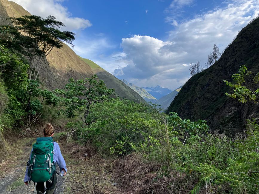 Machu Picchu - Dschungel-Abenteuer