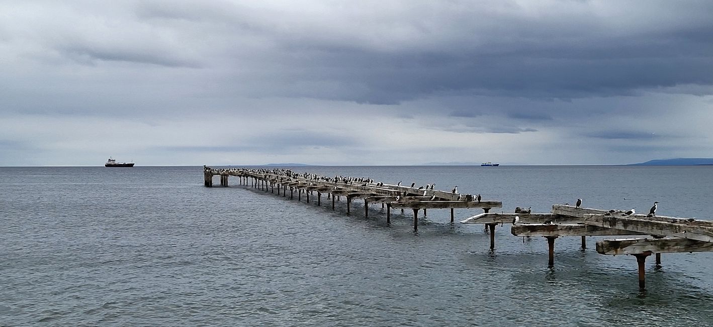 Visite de Punta Arenas
