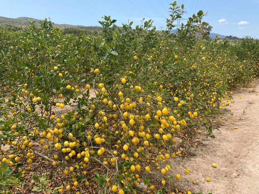 GUADIX in der Sierra Nevada
MURCIA Andalusien