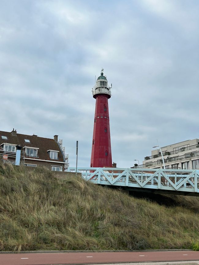 Etiqueta 6: Schevingen - Middelburg