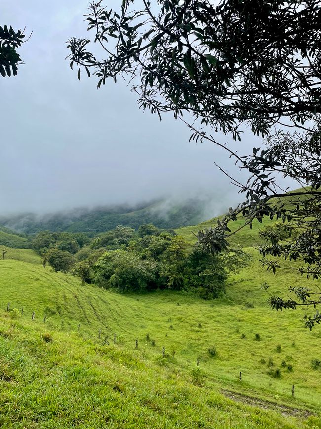 die Region Monteverde