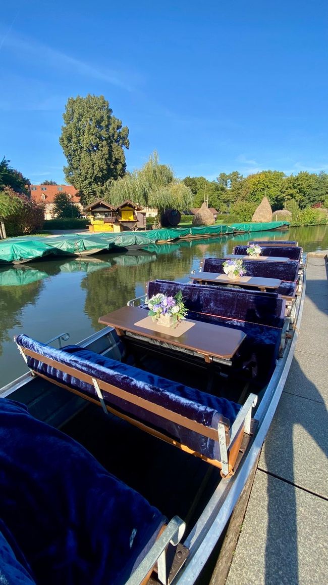 Spreewald boats in Lübbenau