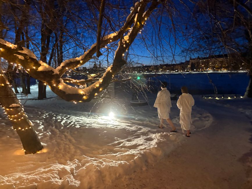 The finnish way