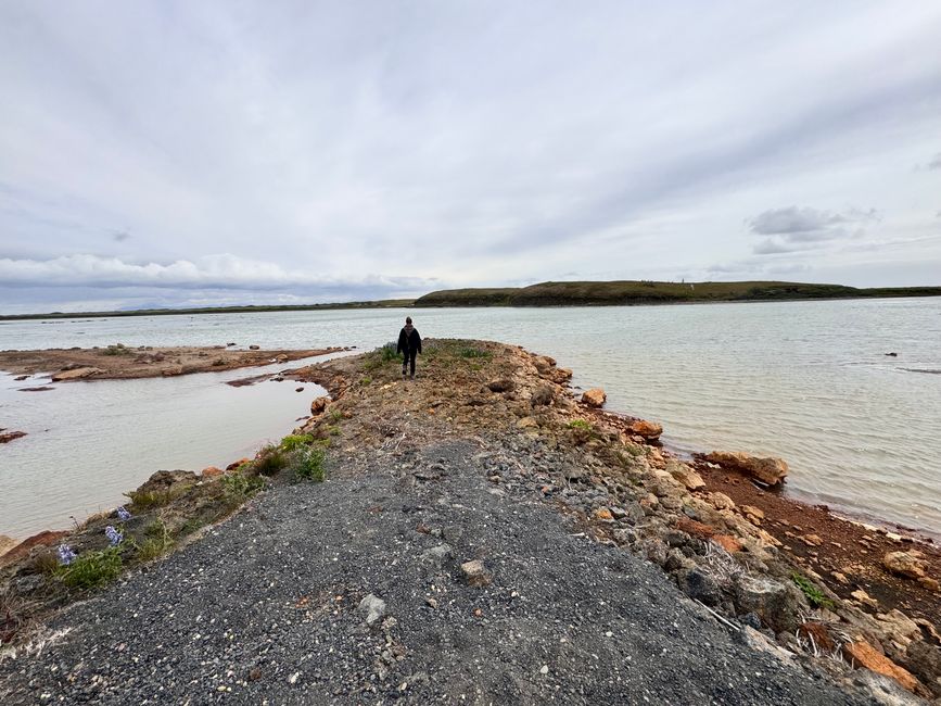 Traustholtshólmi