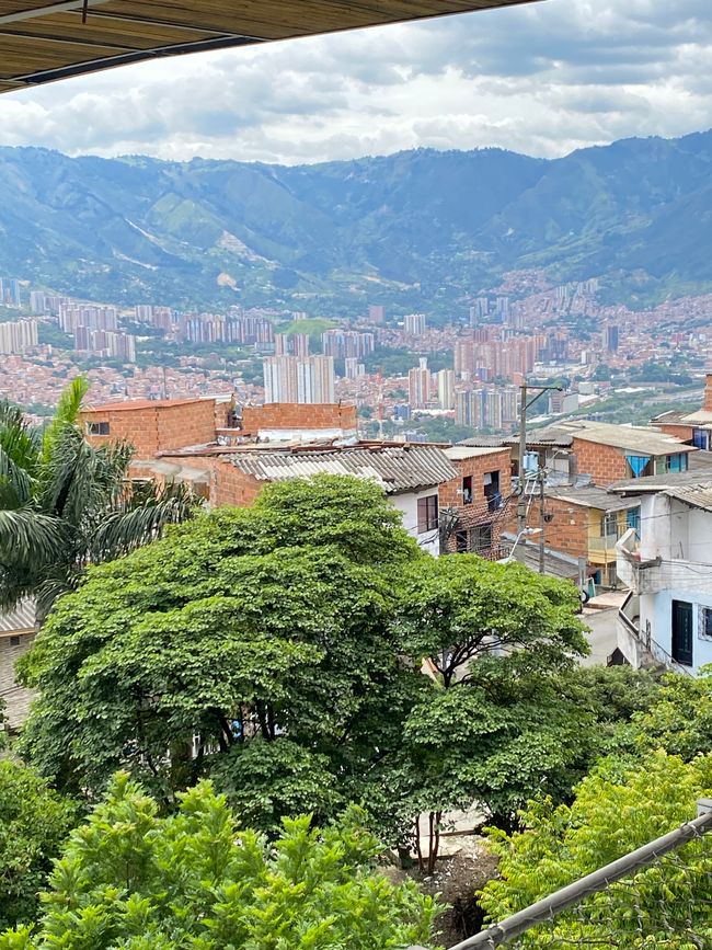 哥伦比亚 🇨🇴