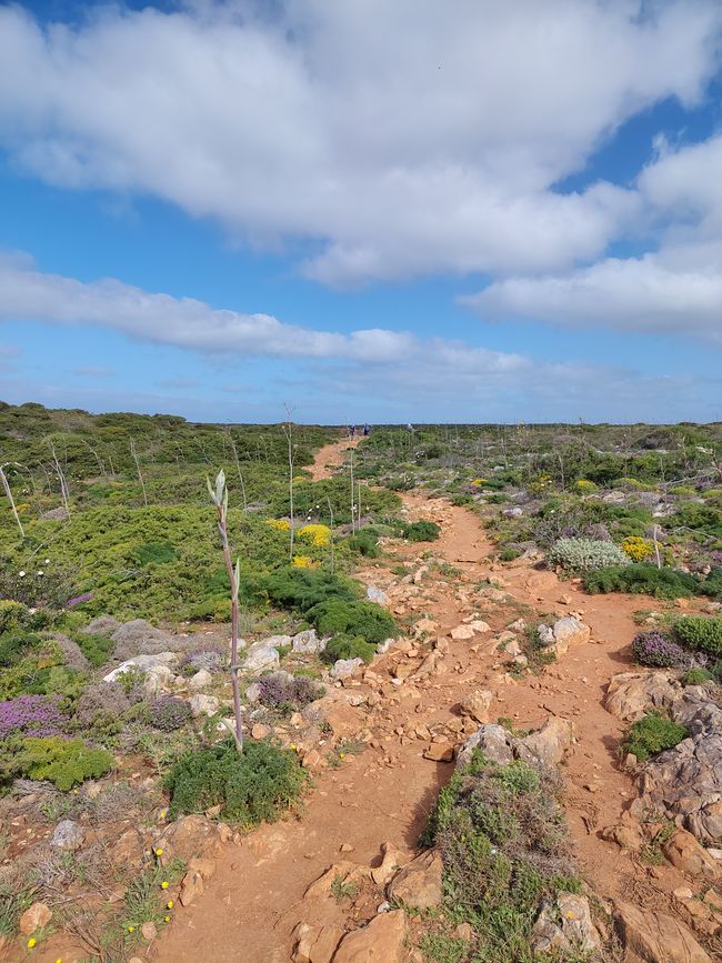 Sagres -> Vila do Bispo