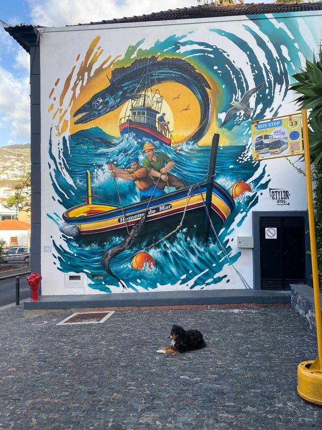 In Camara de Lobos wird viel schwarzer Degenfisch gefangen