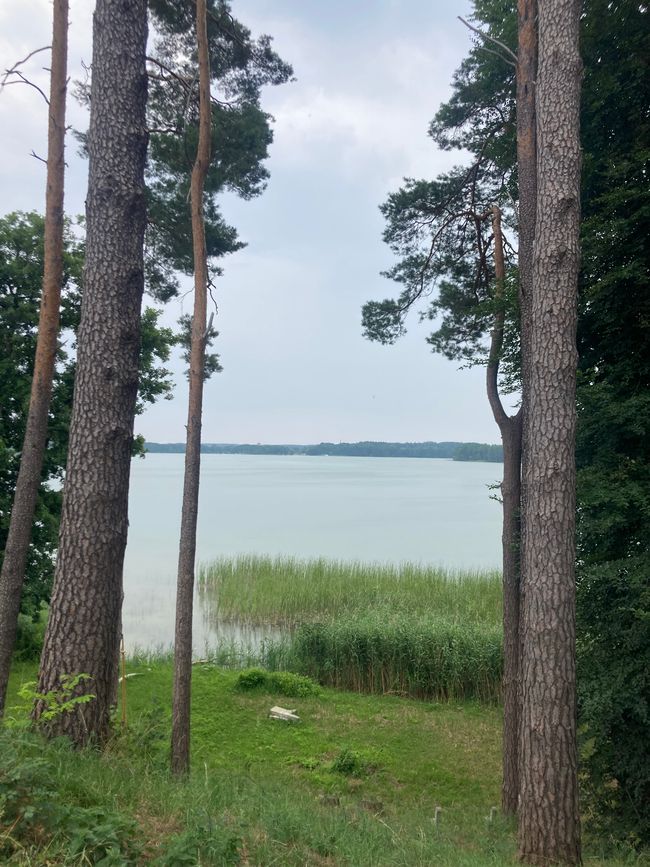 Landregen und Fallada begleiten mich durch die Feldberger Seenlandschaft