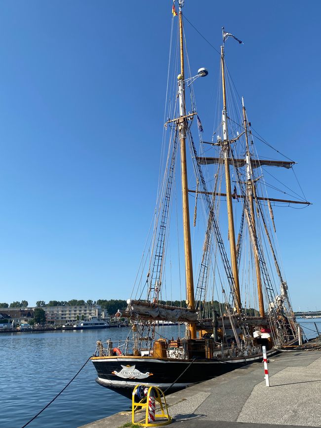 Der Dreimastsegler Albatros