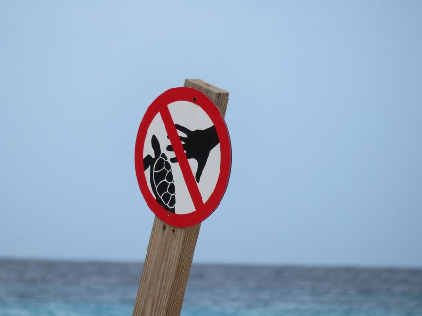 Montrer les évidences aux touristes idiots