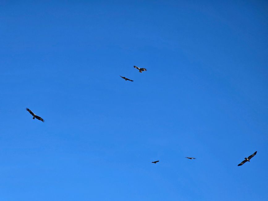 Langkawi - Reif für die Insel!