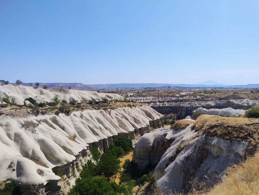Canyon in Softeisform