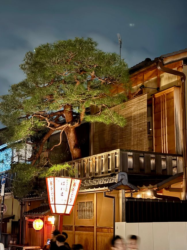 Part 8 Japan 🇯🇵 Kanazawa
