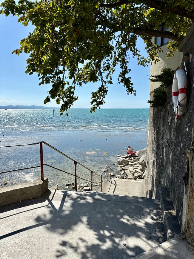 📍Lindau, Bodensee
