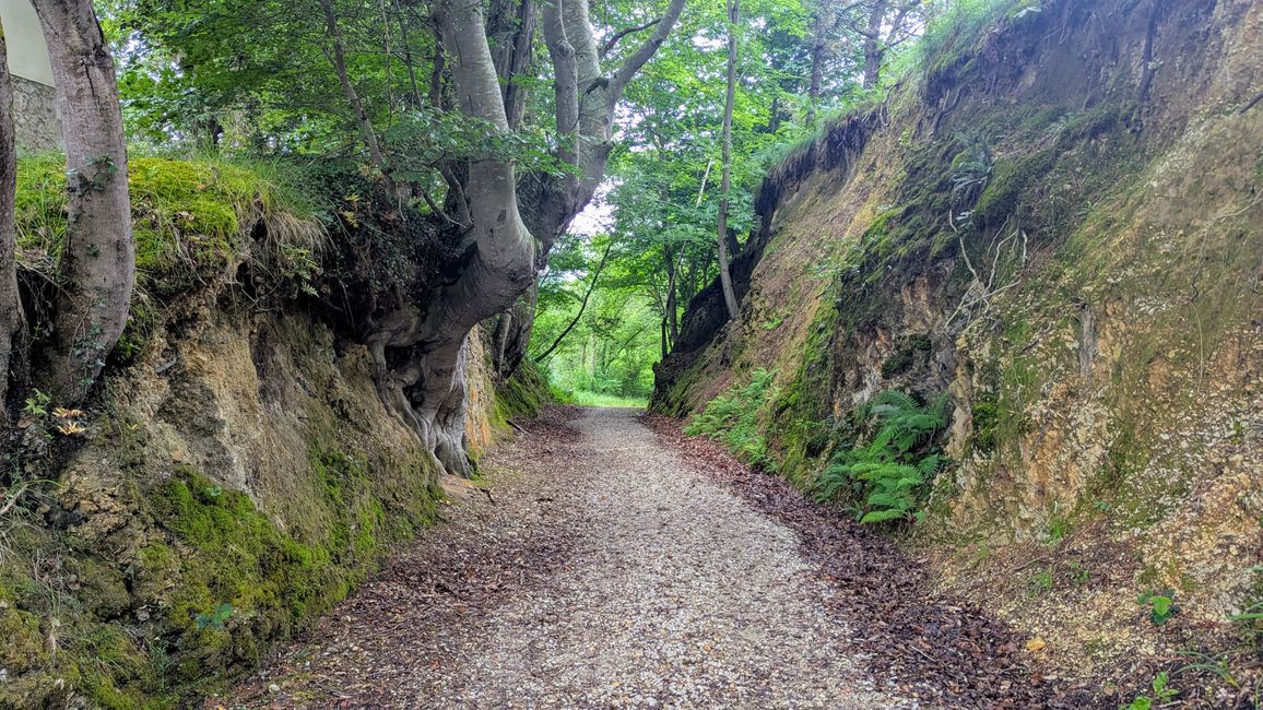12. Etappe Camino del Norte von Pendueles nach Barro