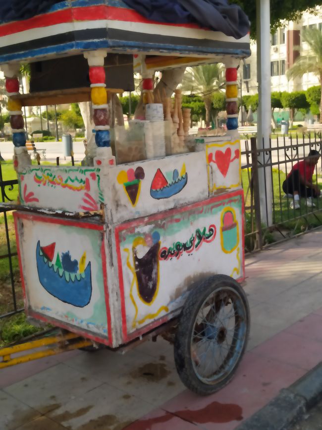 Erste Schritte und Begegnungen