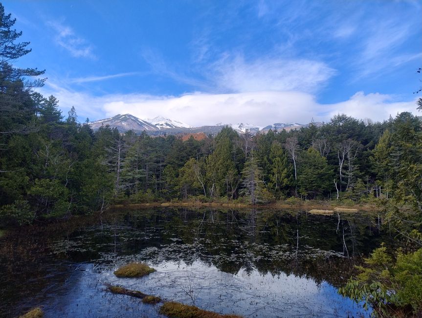 Cima de Norikura al fondo