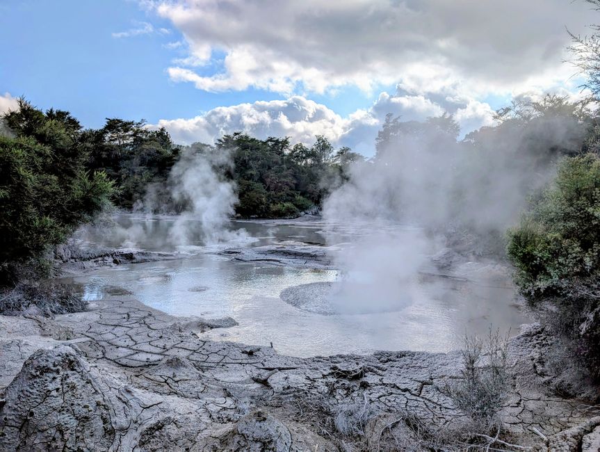 Wai-o-Tapo & Lake Aniwhenura: Ein Tag voller E