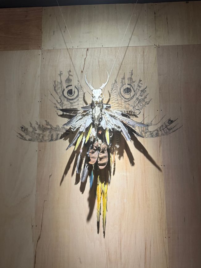 Anthropology and modern art museum
