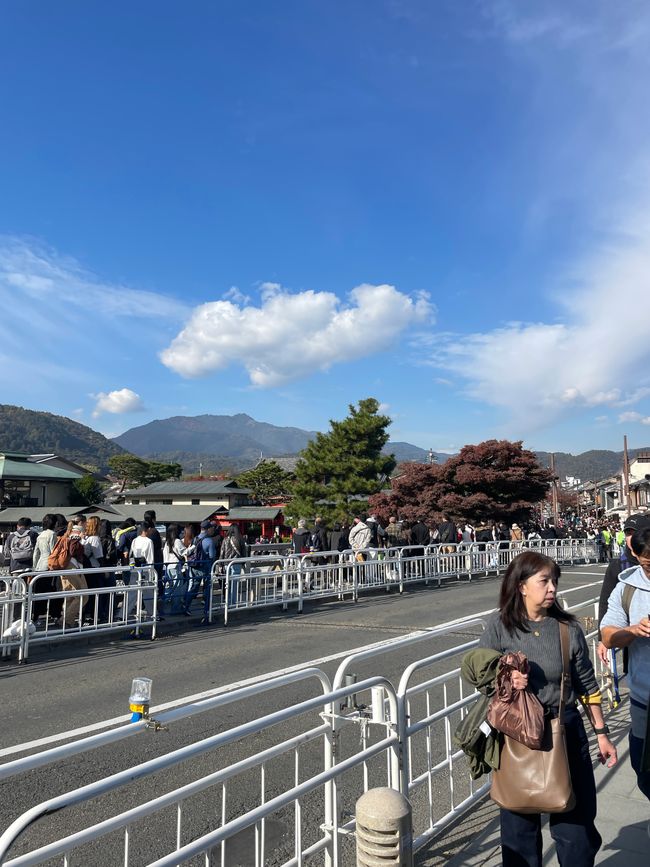 23.Kapitel: Arashiyama oder ein Tag von vorne bis hinten gelungen