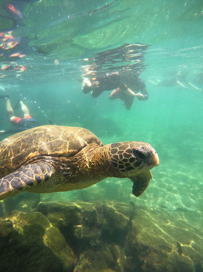 Galapagos Islands