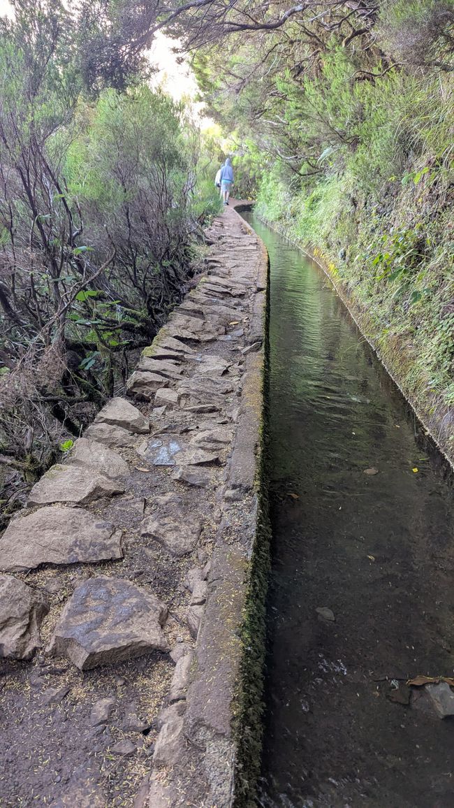 Levada do Alecrim