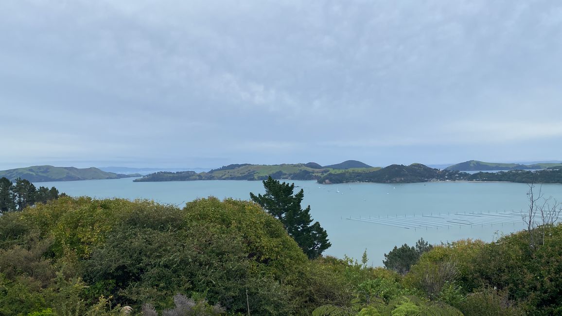 Coromandel loop