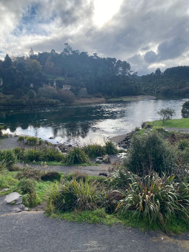 Taupo