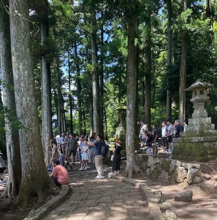 Hakone Super delizioso