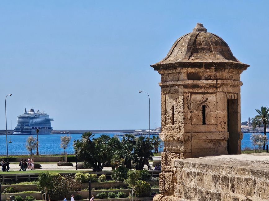 2025 - Aprile - Palma di Maiorca
