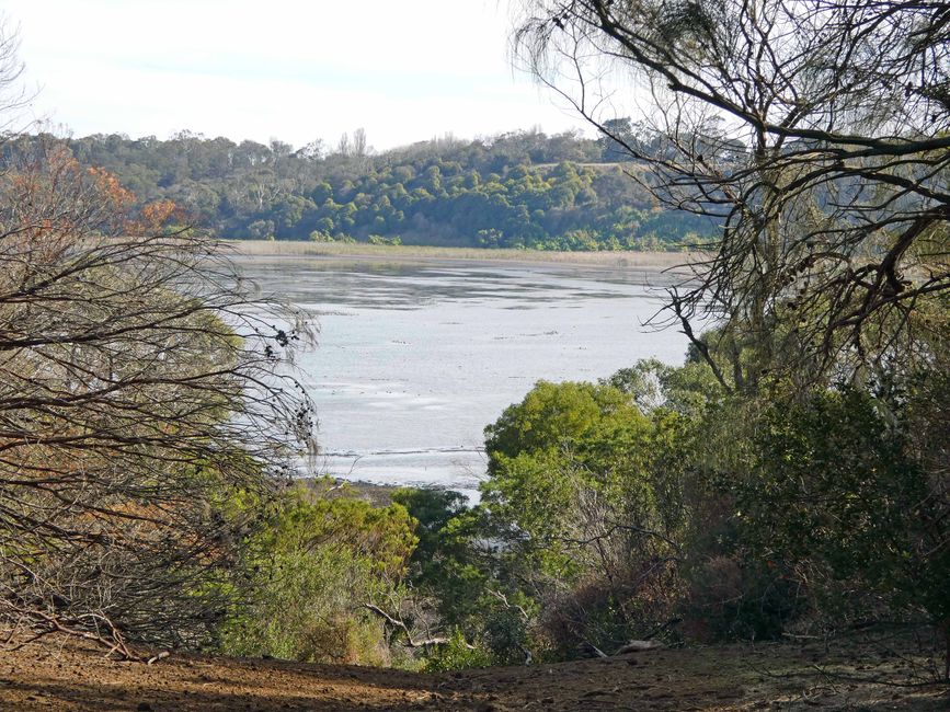 Tower Hill Wildlife Reserve