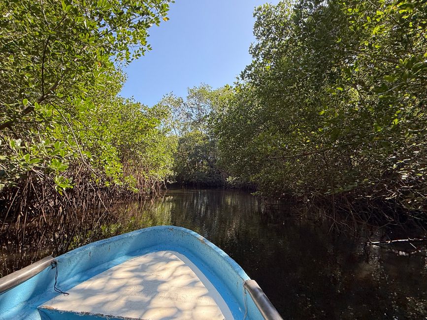 BLOG 20: Nicaragua - Costa del Pacífico y Bosque de Manglares