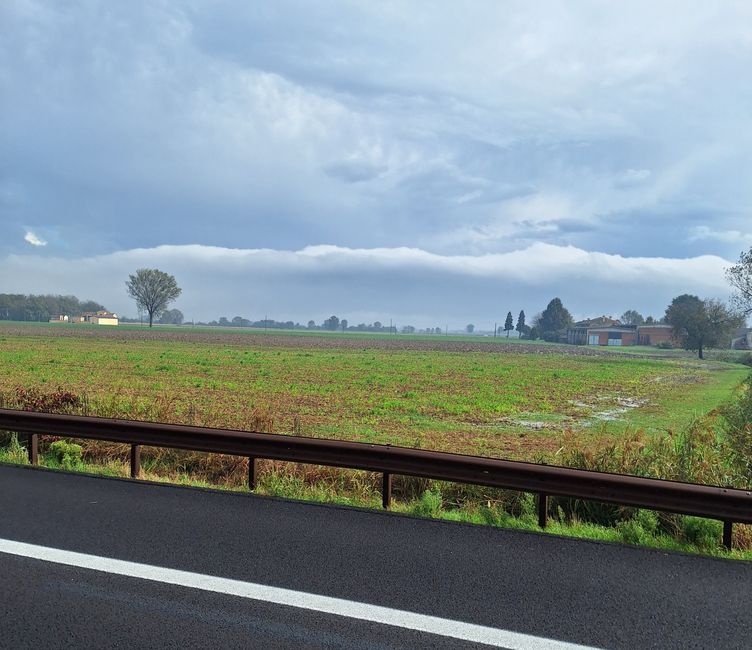 Water is standing in the field 