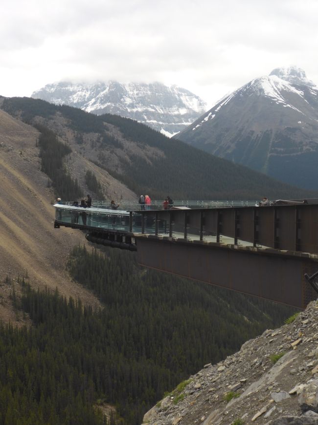 2025-06-19 sur l'Icefields Parkway de Jasper à Lake Louise, CA