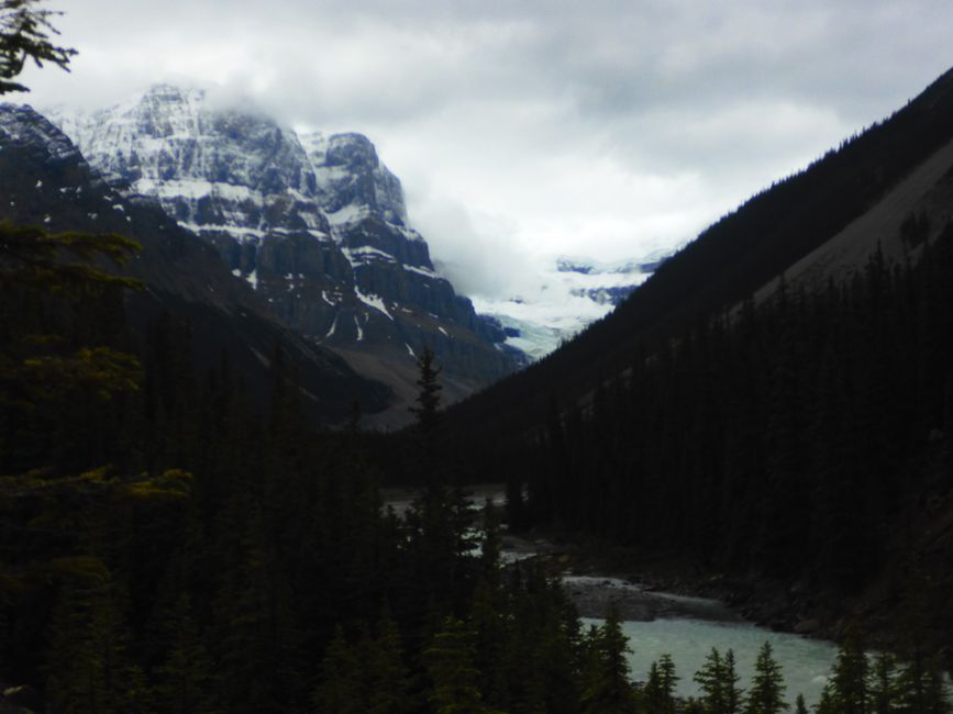 2025-06-19 sur l'Icefields Parkway de Jasper à Lake Louise, CA