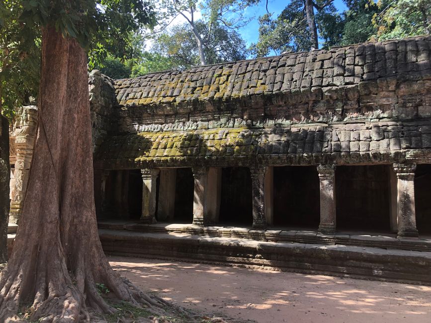 Tempel Ta Prohm - und danach