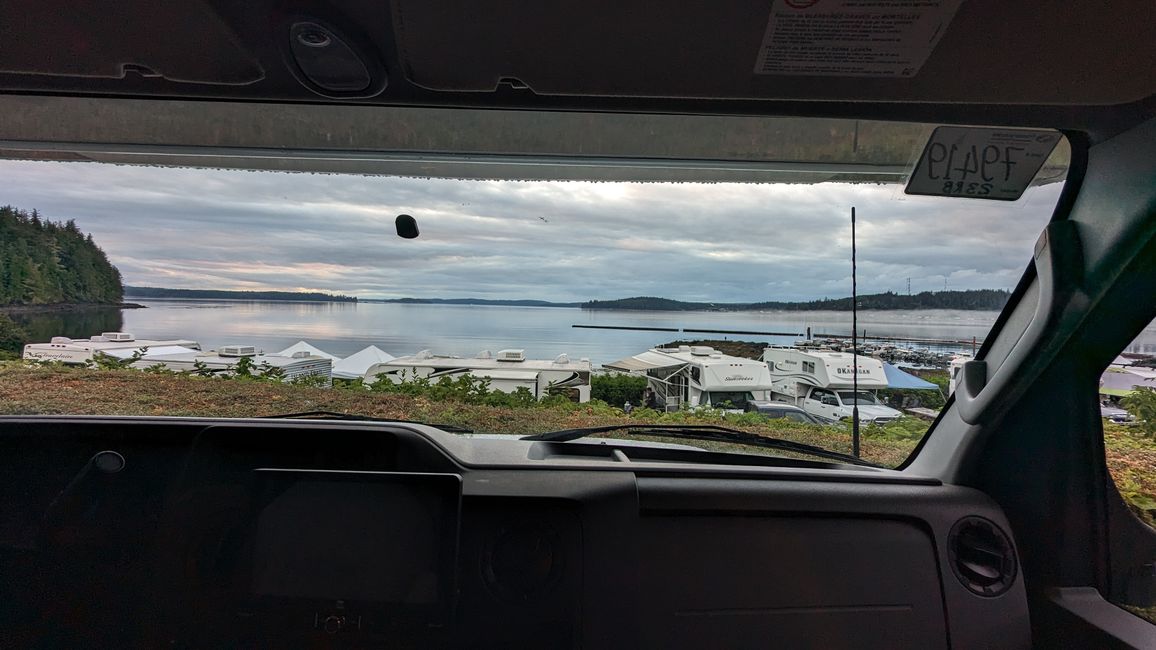 Etiqueta 12: Alder Bay - Observación de Ballenas en el Johnstone Strait